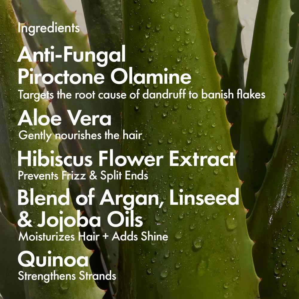 Bondi Boost Dandruff Conditioner - 300ml | Barber Outlet