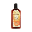 Agadir Argan Oil Daily Moisturizing Conditioner 366ml | Barber Outlet